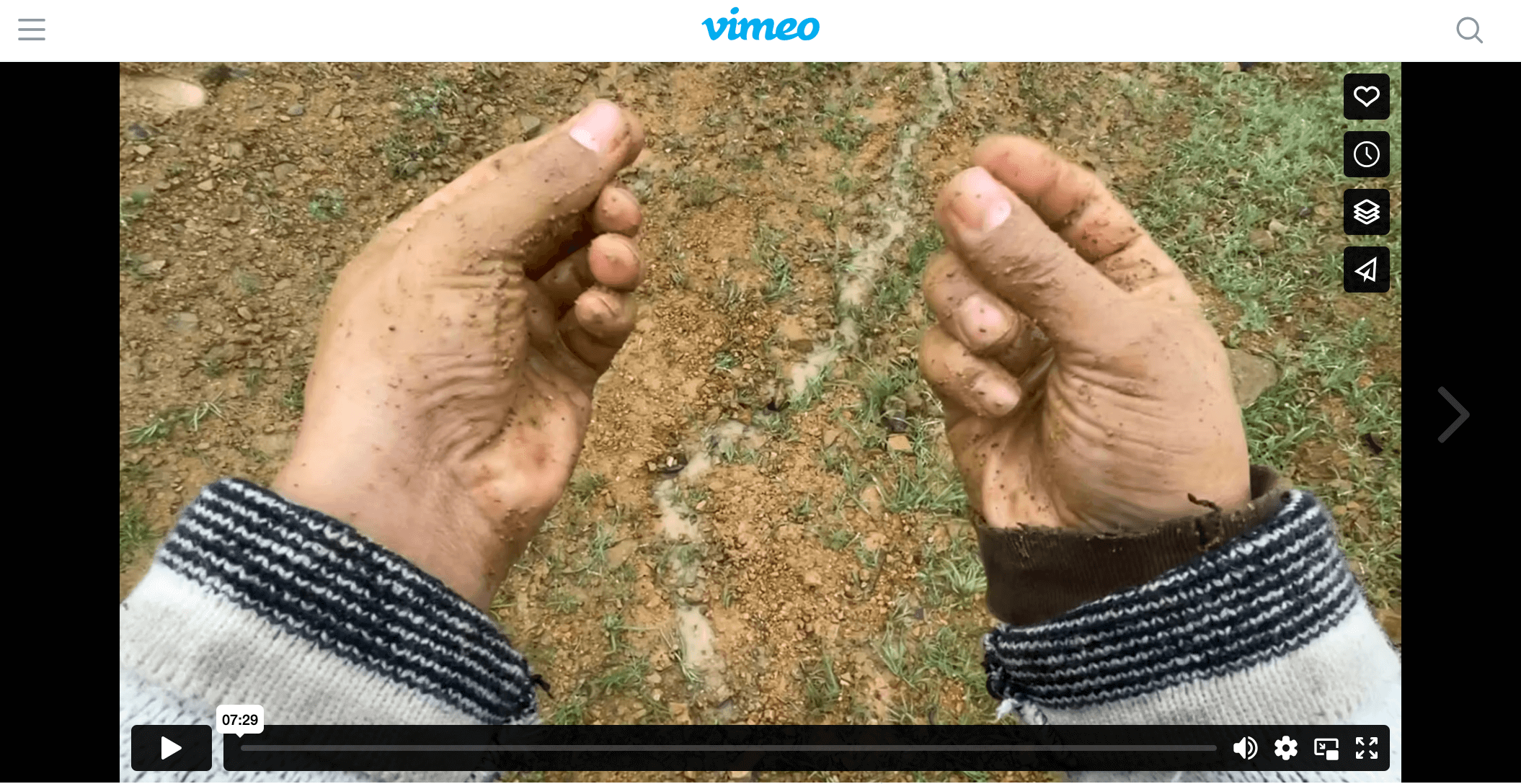 Cultural Celebrations